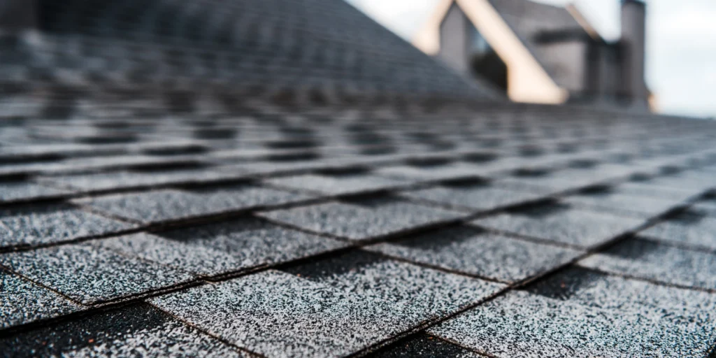 Close-up view of asphalt shingles, where a roof inspection can help spot wear, missing granules, and early signs of damage