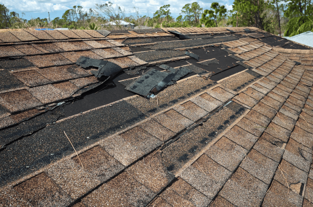 Wind-damaged asphalt roof with missing shingles and exposed underlayment showing clear exterior damage during inspection.